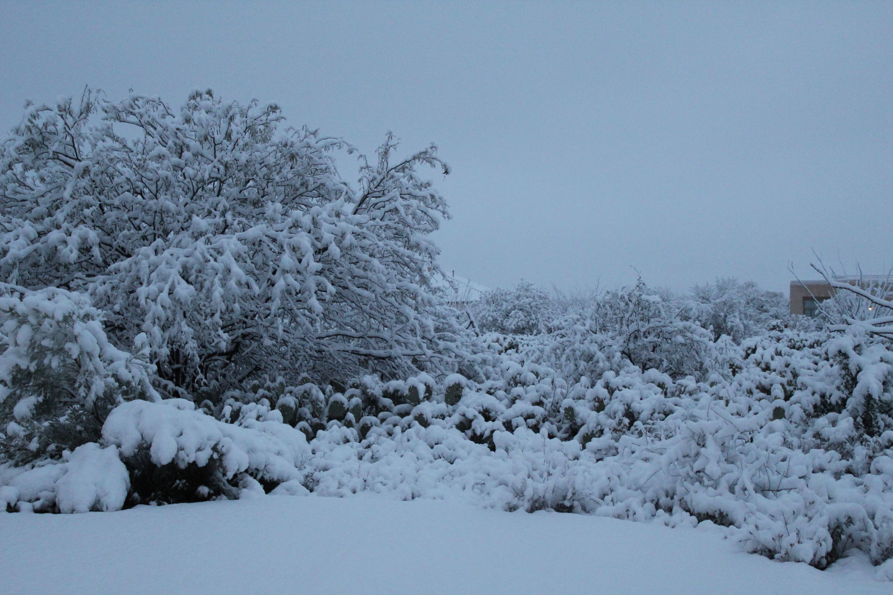 Snow in Vail